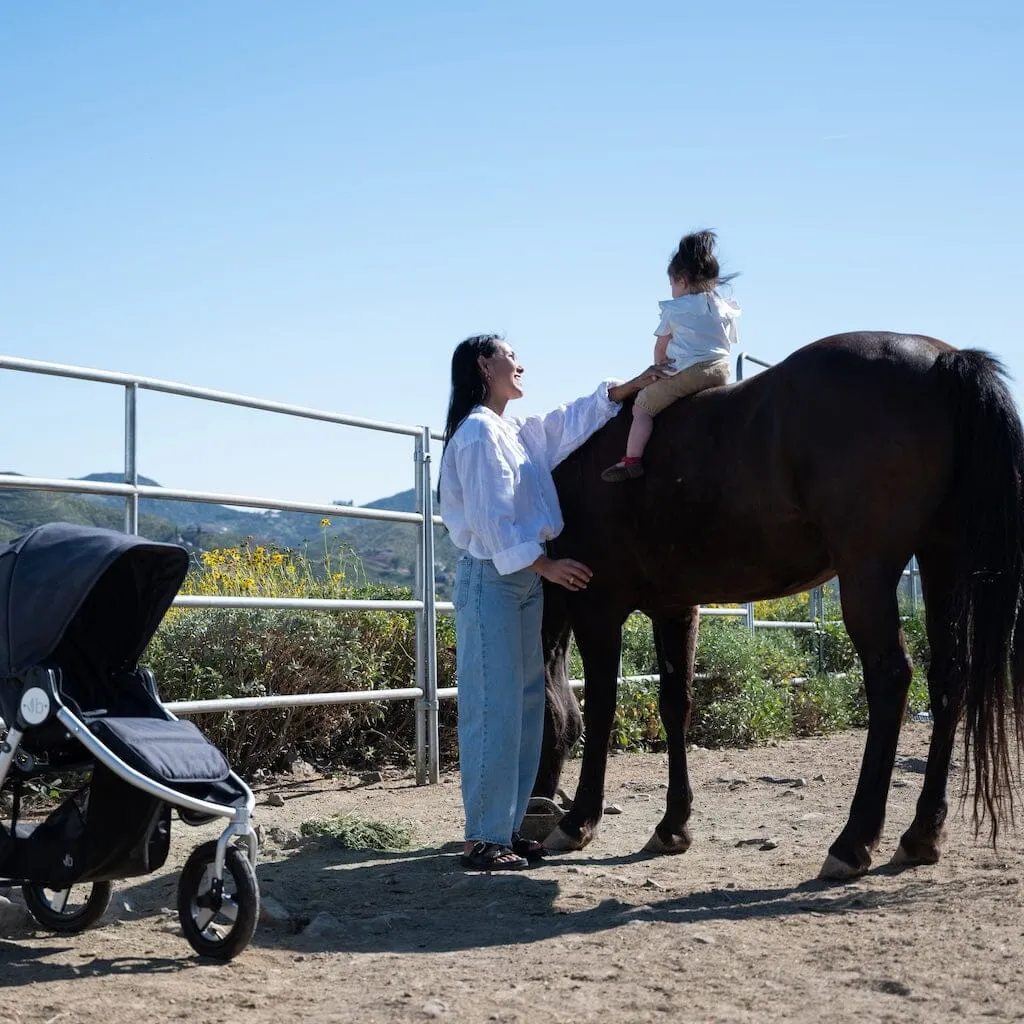 2024 Bumbleride Indie Jogging Stroller